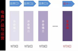 雙十一電商大促流量承接與變現的產品設計分析——以檔案服務外包為例